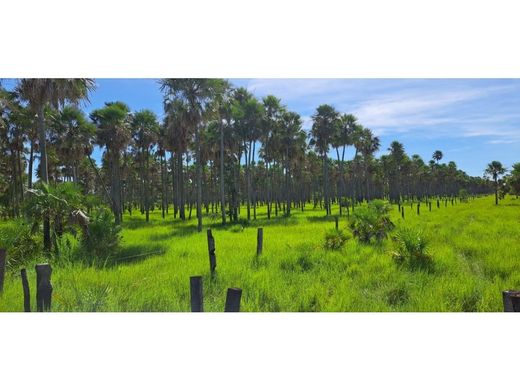 Cortijo o casa de campo en Fuerte Olimpo, Departamento de Alto Paraguay