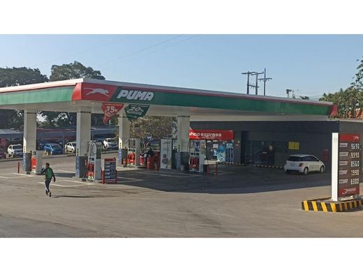 Arsa Asuncion, Asunción