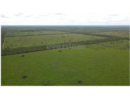 Rural ou fazenda - Filadelfia, Departamento de Boquerón