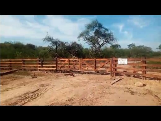 Terreno en Filadelfia, Departamento de Boquerón