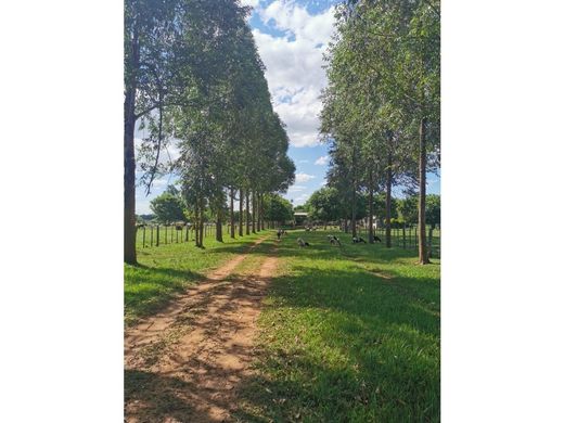 ‏בתים כפריים או חוות ב  San Estanislao, Departamento de San Pedro