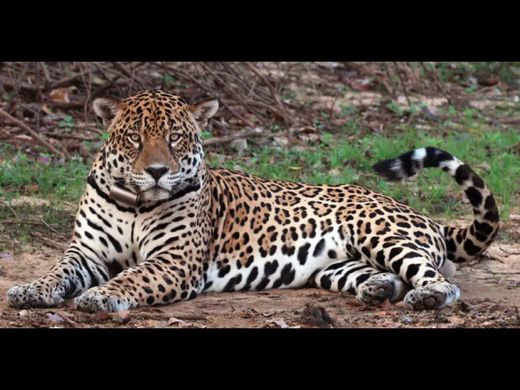 ‏בתים כפריים או חוות ב  Arroyito, Azotey