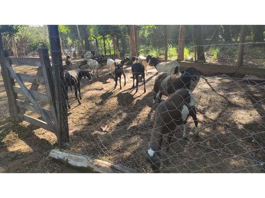 Rustik ya da çiftlik Emboscada, Departamento de la Cordillera