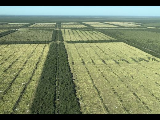 Cortijo o casa de campo en Fuerte Olimpo, Departamento de Alto Paraguay