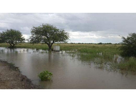 Ρουστίκ ή αγροικία σε Fuerte Olimpo, Departamento de Alto Paraguay