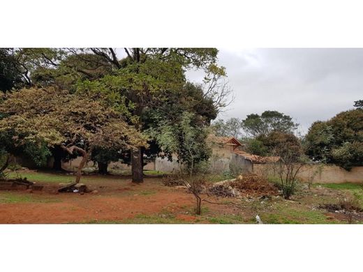 地皮  Lambaré, Lambare