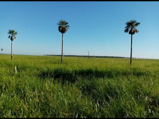 Rural or Farmhouse in Villa Hayes, Departamento de Presidente Hayes