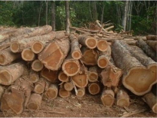 Rustykalny lub Wiejski w Sayaxché, Departamento del Petén