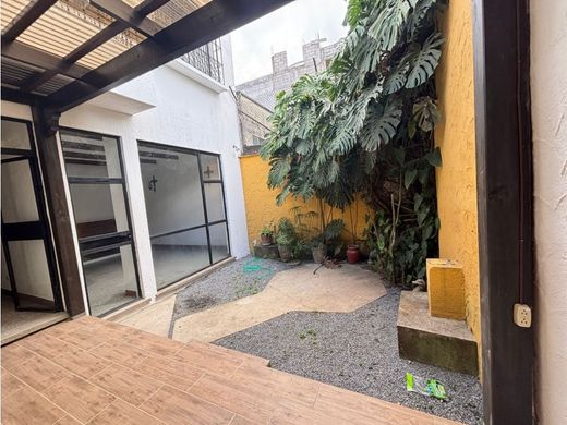 Bureau à Guatemala, Municipio de Guatemala