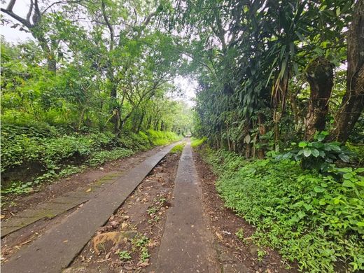 Boerderij in Palín, Municipio de Palín