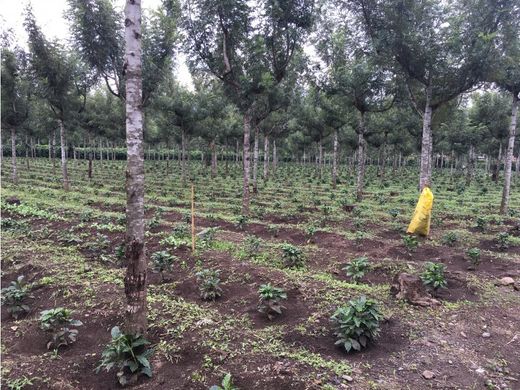 Terreno en Antigua Guatemala, Departamento de Sacatepéquez