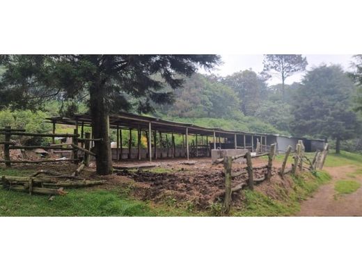 Farmhouse in San Andrés Itzapa, Municipio de San Andrés Itzapa