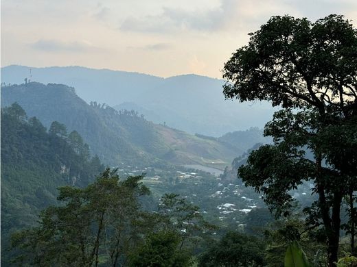 Boerderij in Purulhá, Municipio de Purulhá