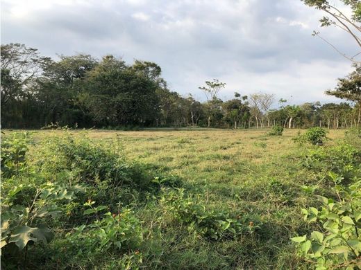 ‏קרקע ב  Escuintla, Municipio de Escuintla