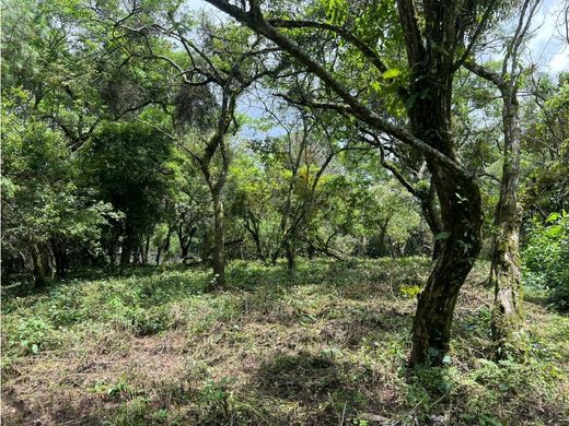 Grond in Guatemala-stad, Municipio de Guatemala