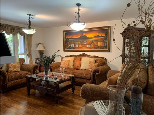 Элитный дом, Гватемала, Municipio de Guatemala