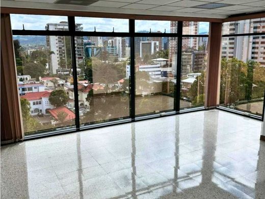 Офис, Гватемала, Municipio de Guatemala