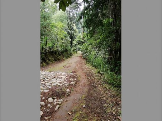 Arsa Villa Nueva, Municipio de Villa Nueva