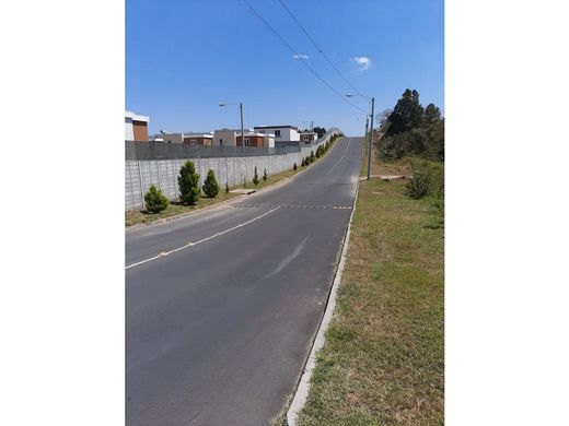 Arsa Fraijanes, Municipio de Fraijanes