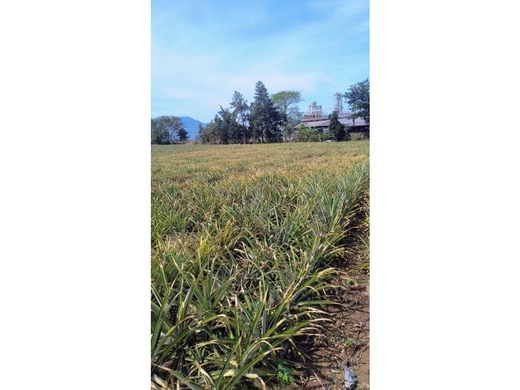 地皮  Villa Canales, Municipio de Villa Canales