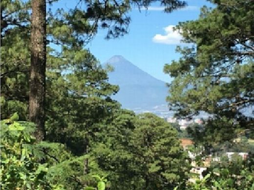 Arsa Guatemala City, Municipio de Guatemala