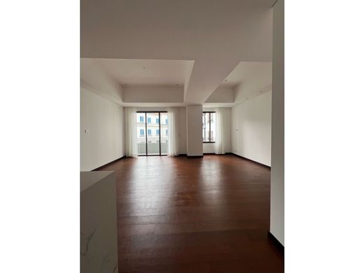 Daire Guatemala City, Municipio de Guatemala