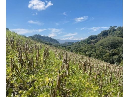 ‏בתים כפריים או חוות ב  Quezaltepeque, Municipio de Quezaltepeque