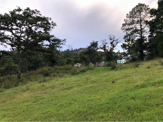 地皮  Chiantla, Municipio de Chiantla