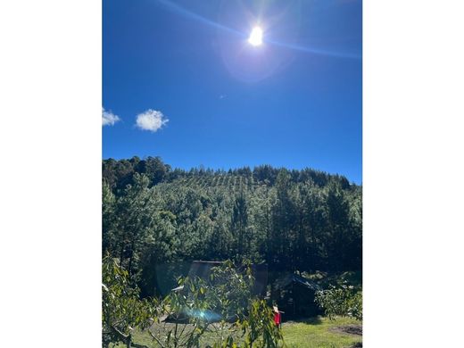 Rustik ya da çiftlik Salamá, Municipio de Salamá