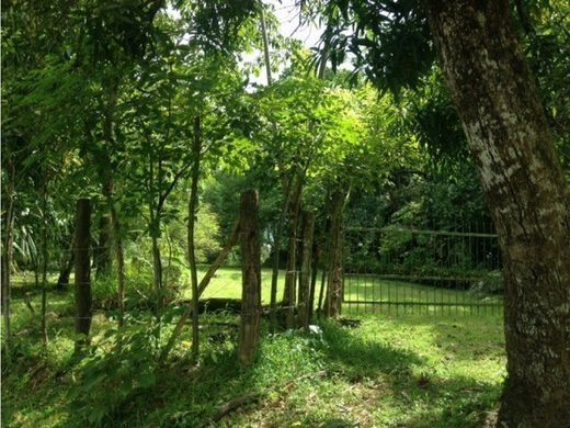 Сельский Дом, Гватемала, Municipio de Guatemala