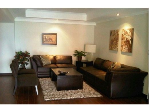 Daire Guatemala City, Municipio de Guatemala