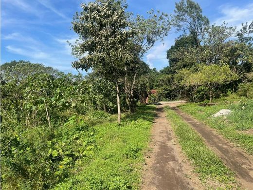 Land in Palín, Municipio de Palín