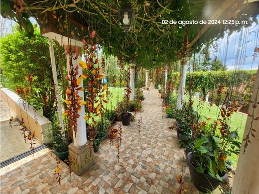 豪宅  瓜地馬拉市, Municipio de Guatemala