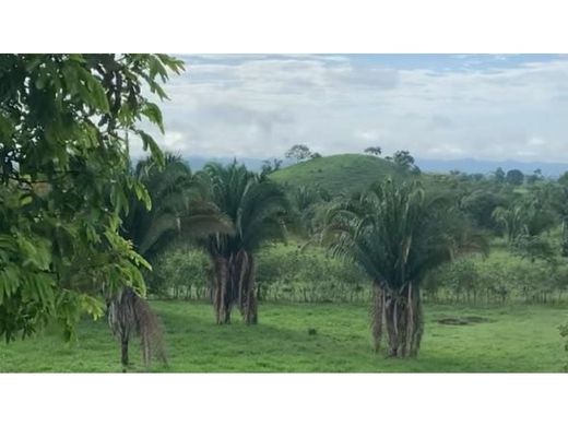 Сельский Дом, Гватемала, Municipio de Guatemala