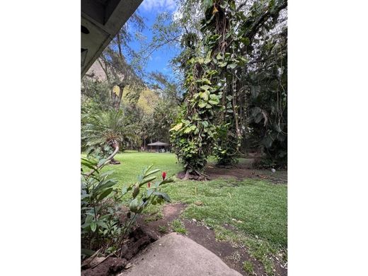 Terrain à Escuintla, Municipio de Escuintla