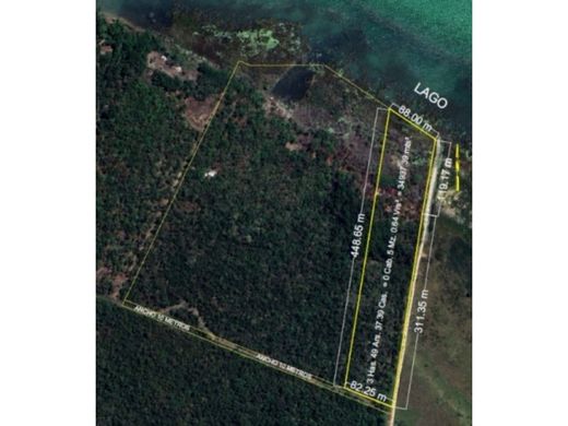 地皮  San Benito, Municipio de San Benito