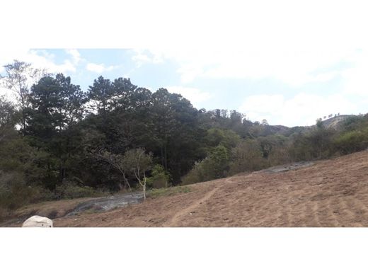 Arsa Guatemala City, Municipio de Guatemala