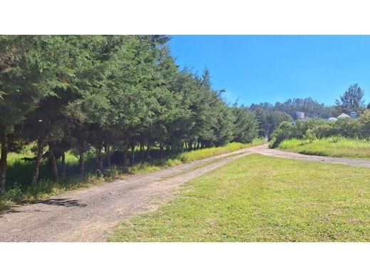 Terrain à Guatemala, Municipio de Guatemala