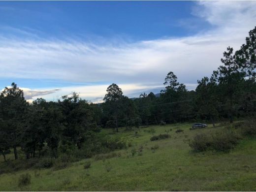 地皮  Chiantla, Municipio de Chiantla