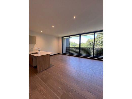 Daire Guatemala City, Municipio de Guatemala