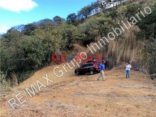 Boerderij in San Antonio La Paz, Municipio de San Antonio La Paz