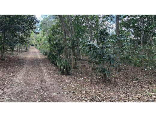 Land in Barberena, Departamento de Santa Rosa