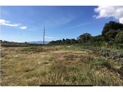 Terreno en El Jocotillo, Municipio de Villa Canales