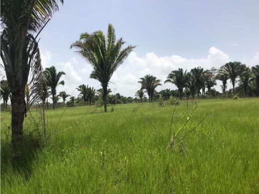 Cortijo o casa de campo en Lívingston, Municipio de Lívingston