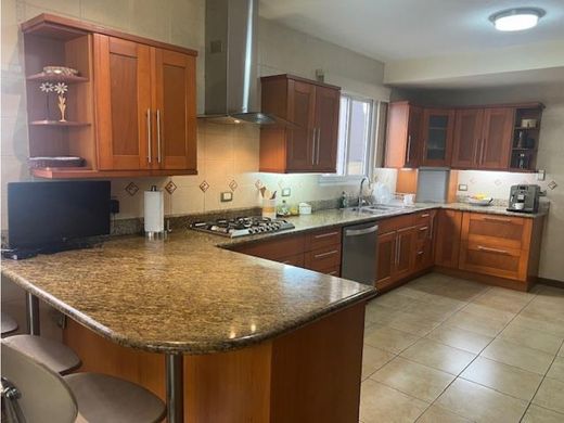 호화 저택 / Guatemala City, Municipio de Guatemala