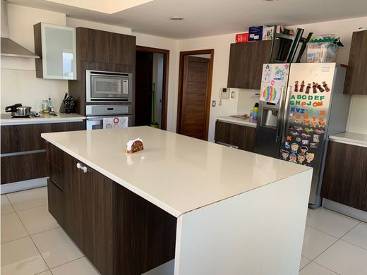 아파트 / Guatemala City, Municipio de Guatemala