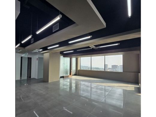 Office in Guatemala City, Municipio de Guatemala