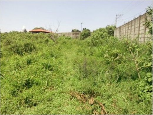 ‏קרקע ב  Guatemala City, Municipio de Guatemala