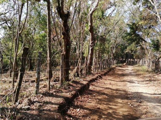 Terrain à Villa Canales, Municipio de Villa Canales
