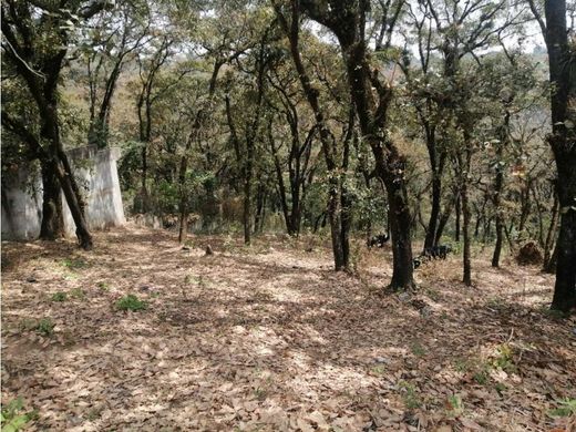 Αγροτεμάχιο σε Los Mixcos, Municipio de Palencia